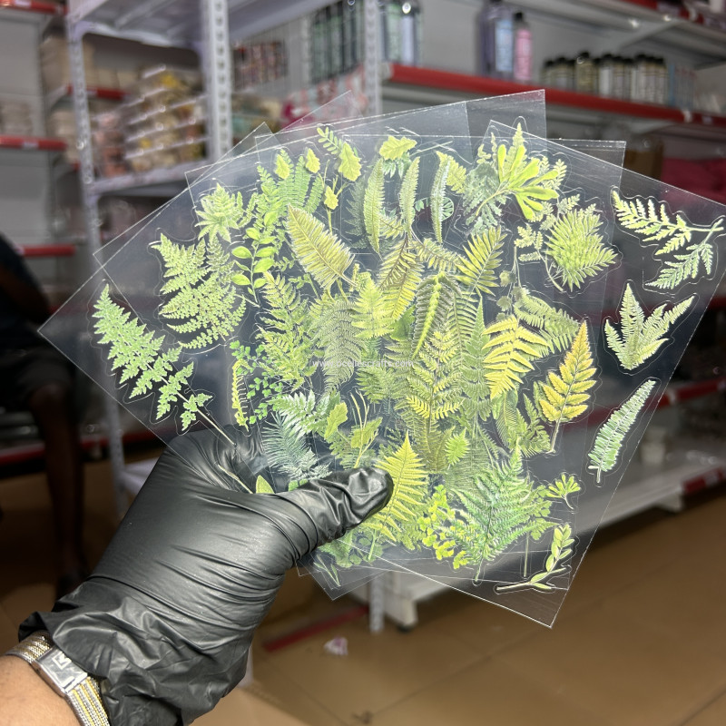 6pcs Palm Natural Series Sticker