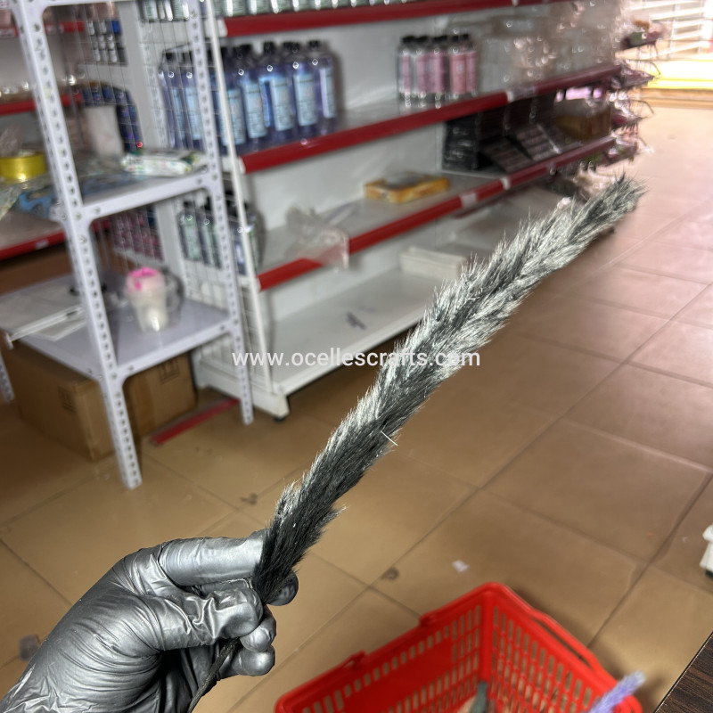 25cm-40cm Black Small Pampas Grass