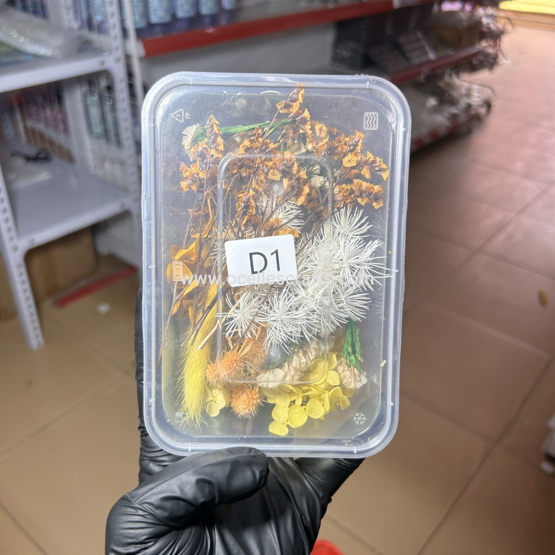 Dried Flowers D1