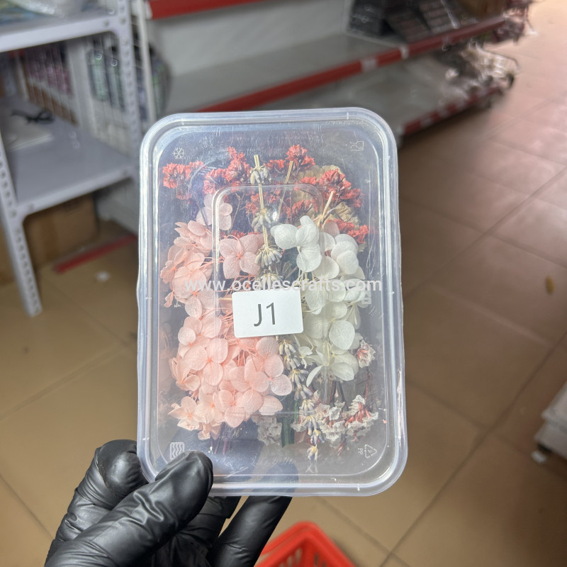 Dried Flowers J1