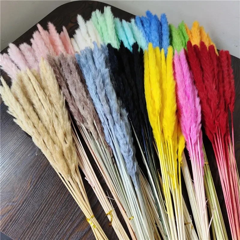 Natural Dried Pampas Grass Stem