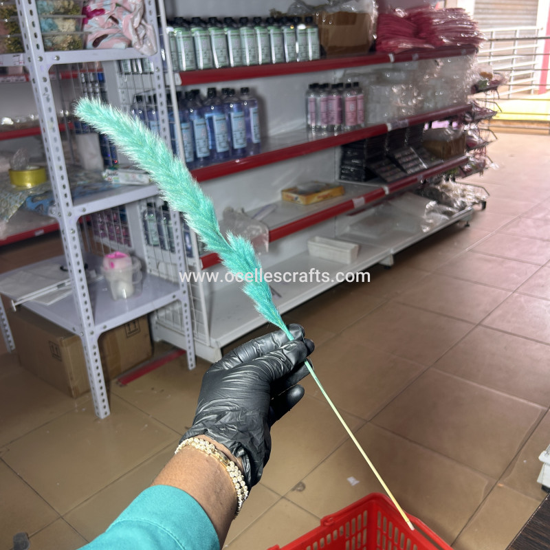 25cm-40cm Mint Small Pampas Grass