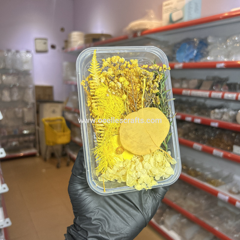 Yellow Dried Flowers