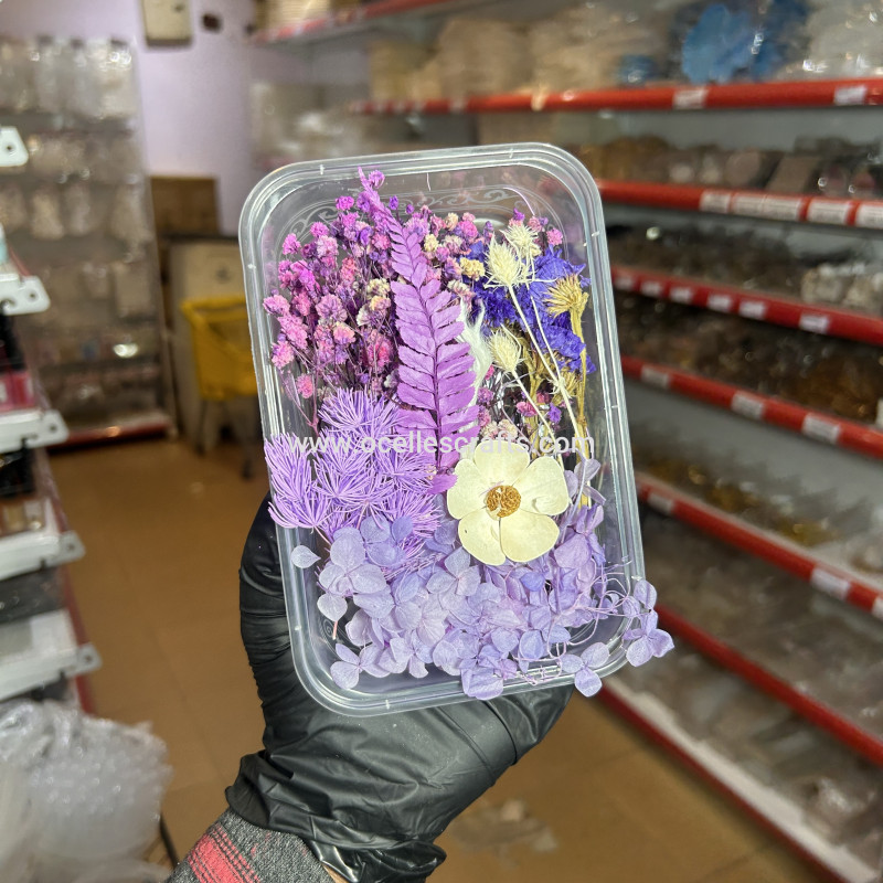 Purple Dried Flowers