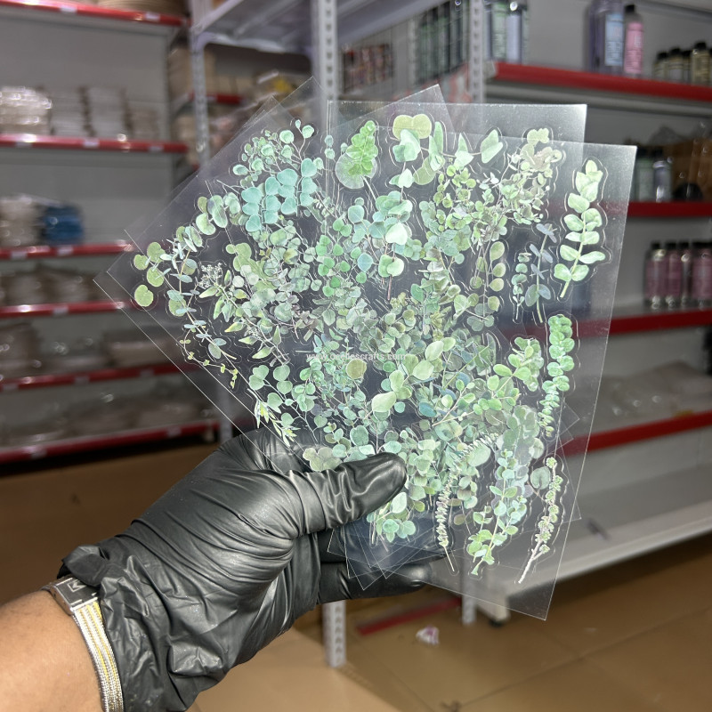 6pcs Green Natural Series Sticker