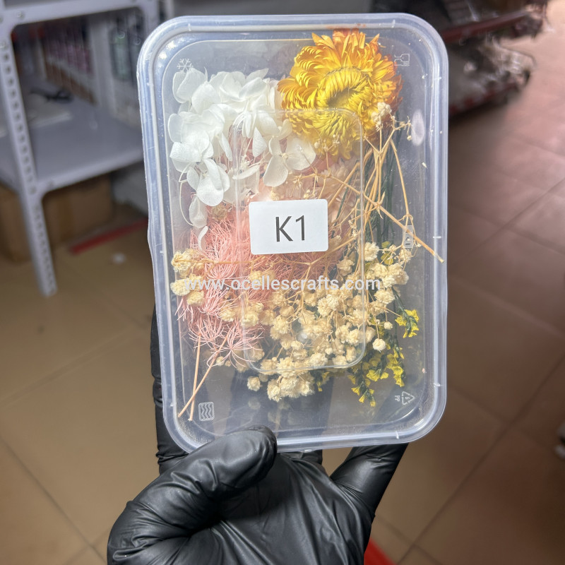 Dried Flowers K1
