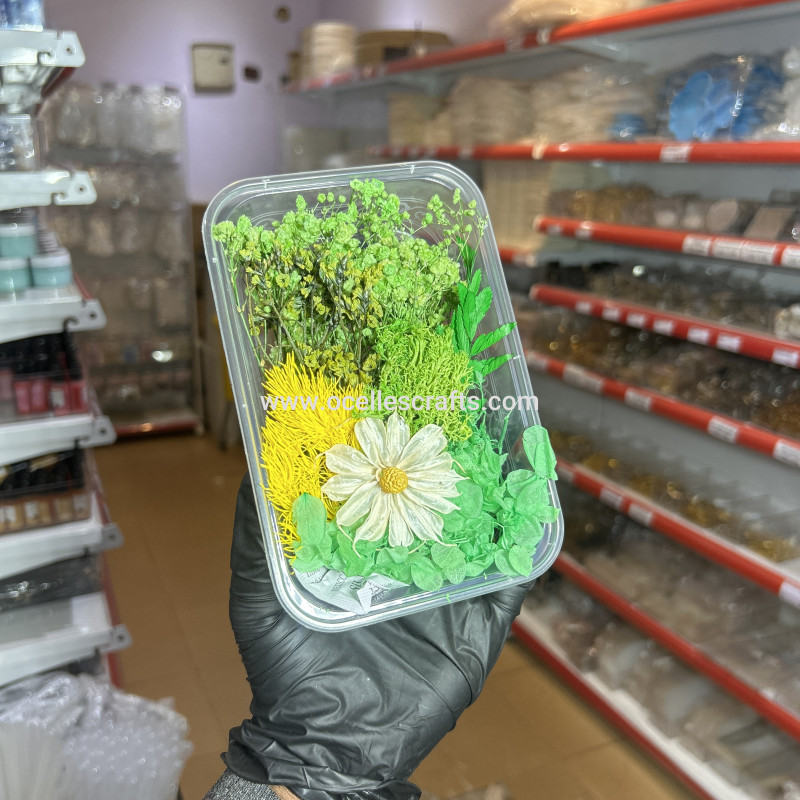 Green Dried Flowers